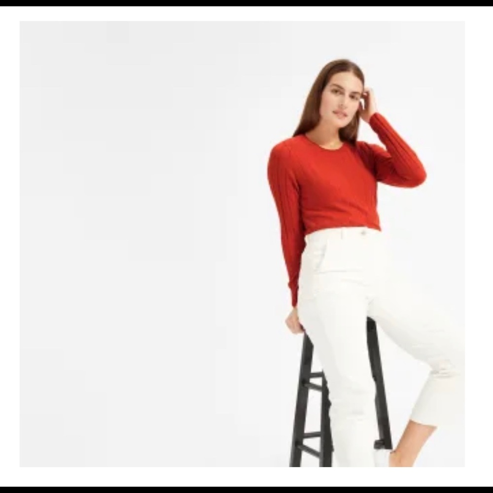 Everlane The Luxe Wool Ribbed Crew